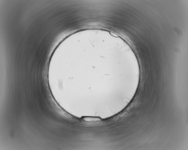 X0000111011392200907311042