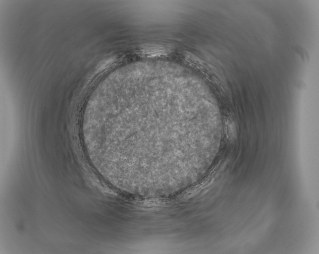 X0000111011393200907311042