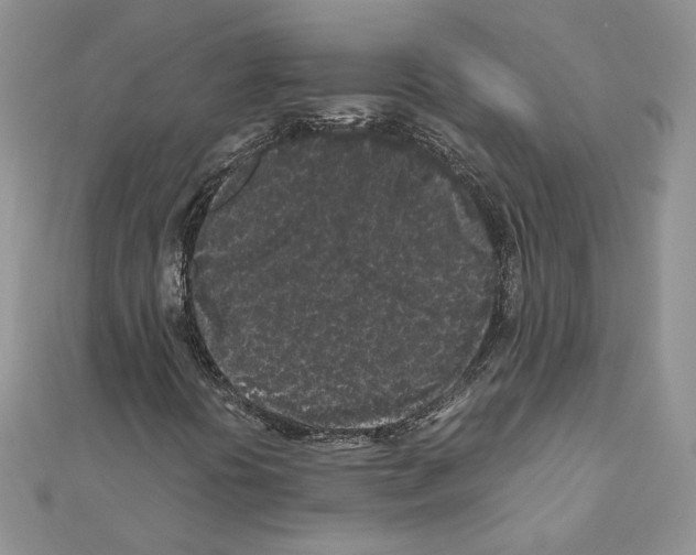 X0000111011394200907311042