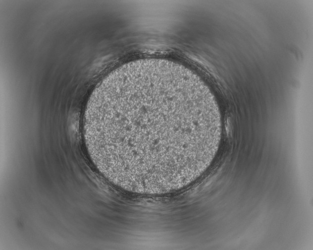 X0000111011396200907311042
