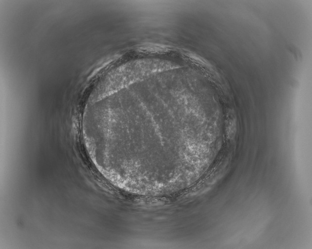 X0000111011397200907311042