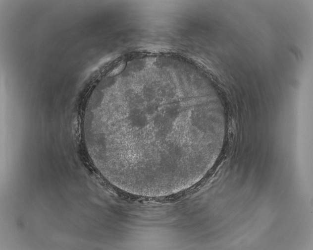 X0000111011398200907311042
