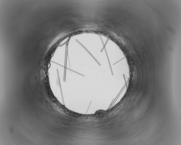 X0000111011400200907311042