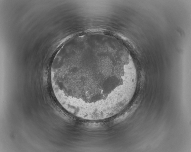 X0000111011401200907311042