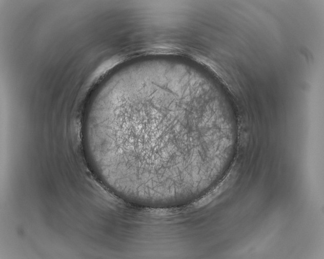 X0000111011402200907311042