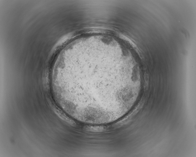 X0000111011403200907311042