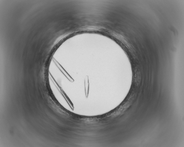 X0000111011404200907311042