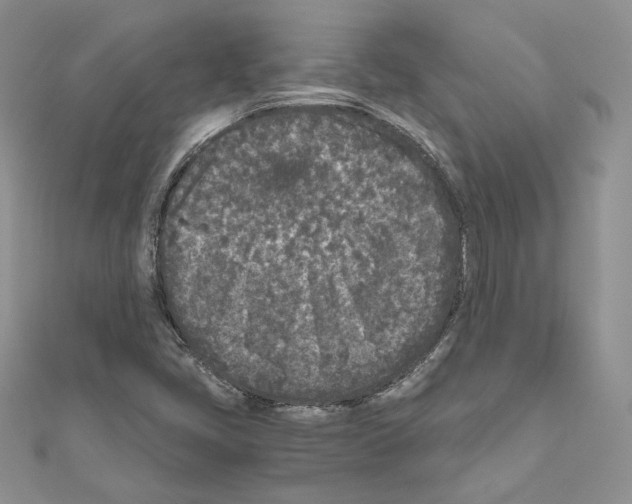 X0000111011405200907311042