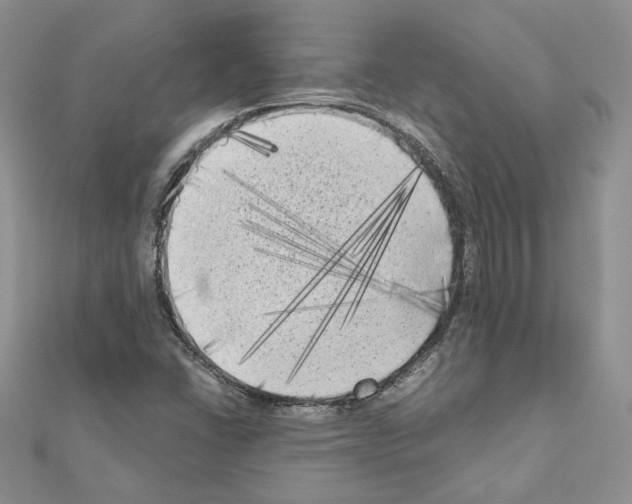 X0000111011406200907311042