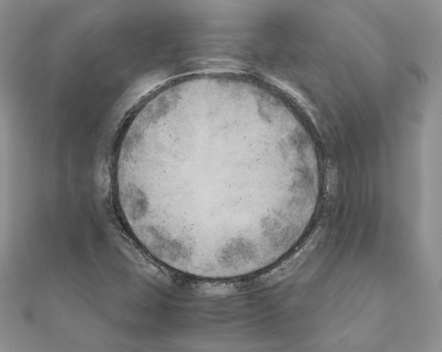 X0000111011407200907311042