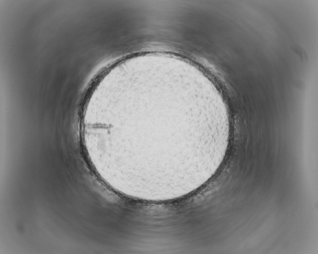 X0000111011408200907311042
