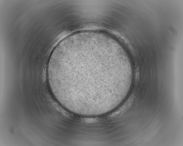 X0000111011409200907311042