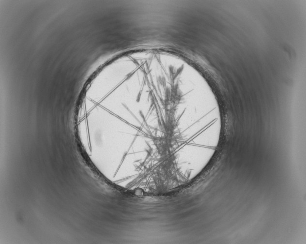 X0000111011412200907311042