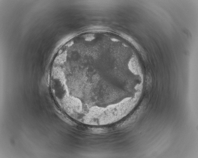 X0000111011413200907311042