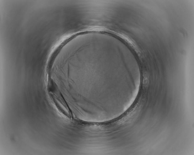X0000111011414200907311042