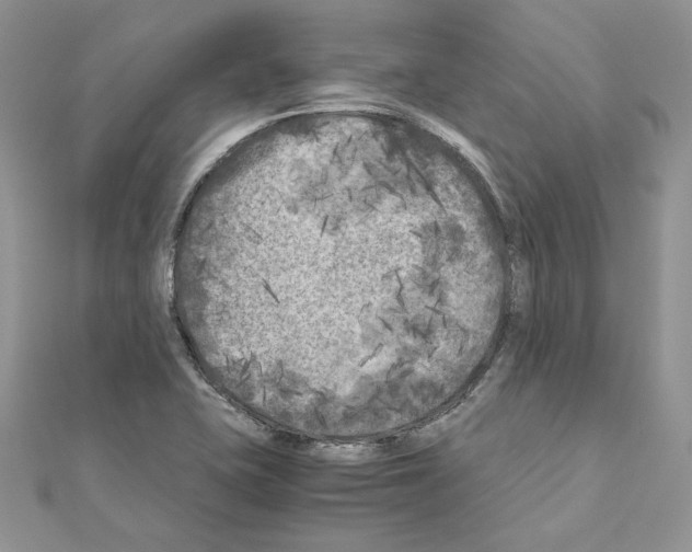 X0000111011415200907311042