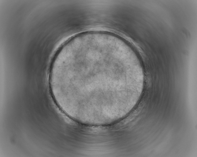 X0000111011416200907311042