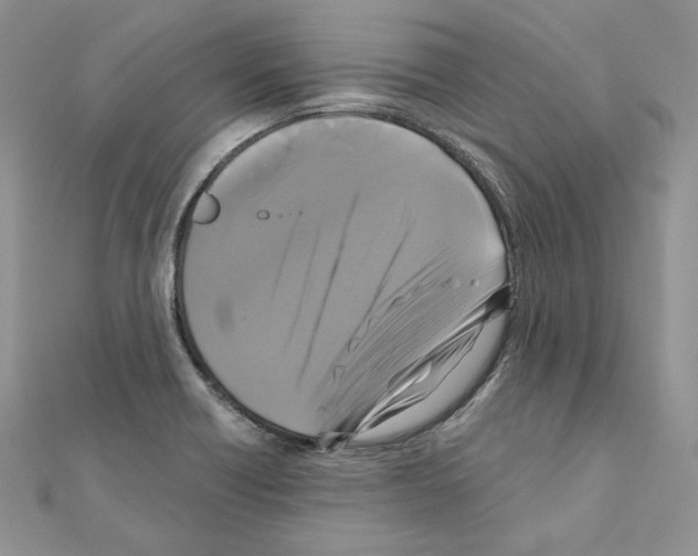 X0000111011418200907311042