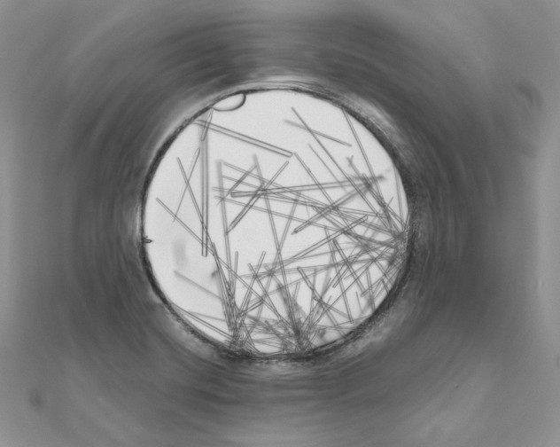 X0000111011420200907311042