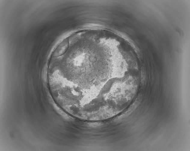 X0000111011421200907311042