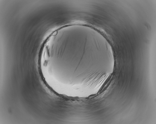 X0000111011422200907311042