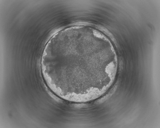 X0000111011425200907311042