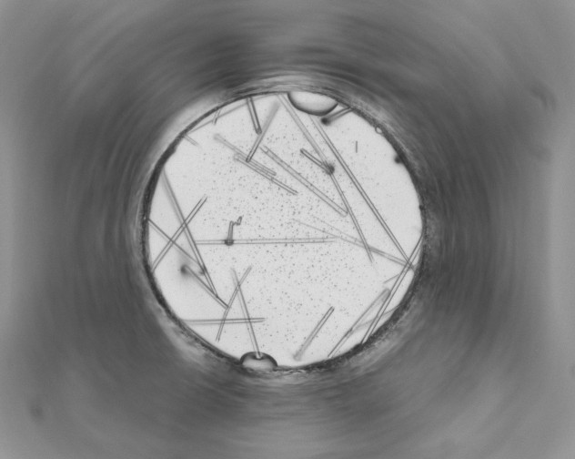 X0000111011426200907311042
