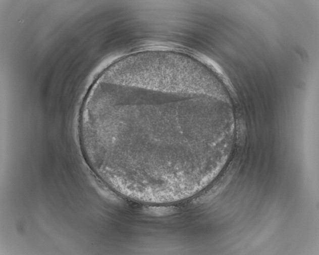 X0000111011427200907311042