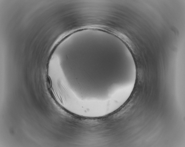X0000111011428200907311042