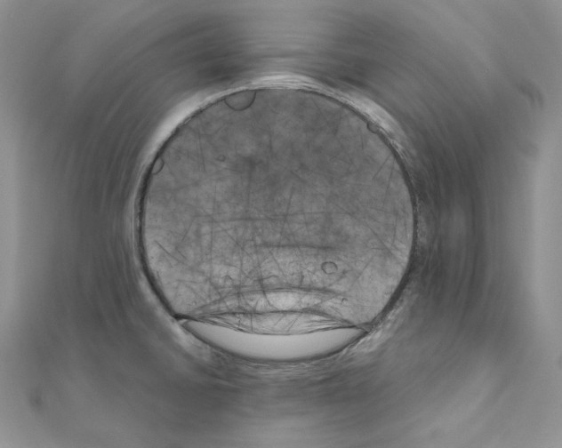 X0000111011430200907311042