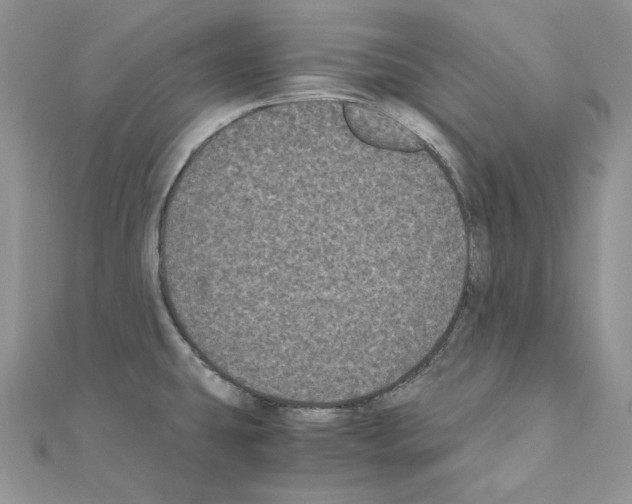 X0000111011431200907311042