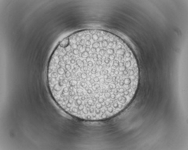 X0000111011432200907311042