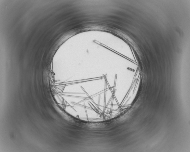 X0000111011433200907311042