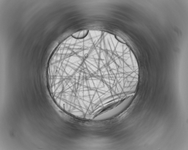 X0000111011434200907311042