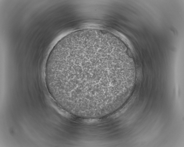 X0000111011435200907311042