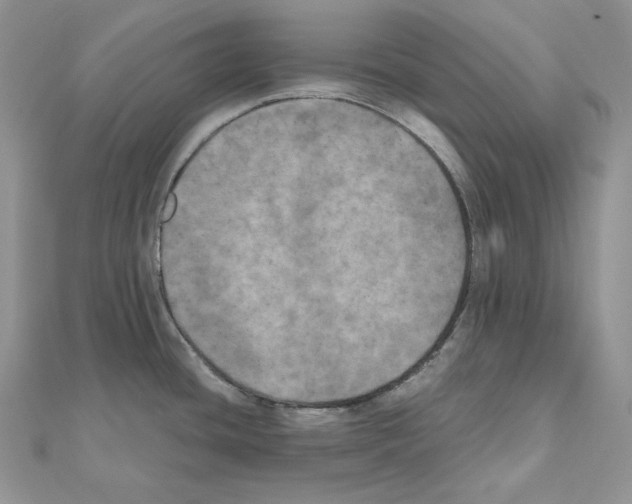 X0000111011436200907311042