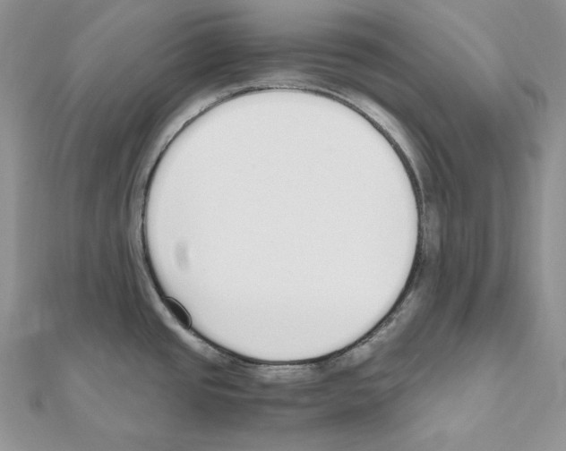 X0000111011437200907311042