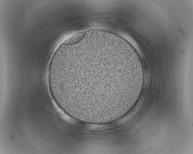 X0000111011439200907311042
