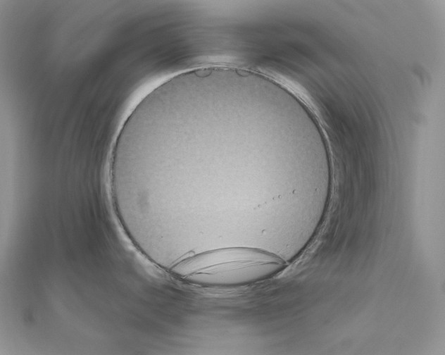 X0000111011440200907311042