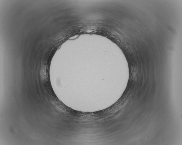 X0000111011442200907311042