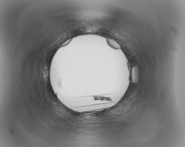 X0000111011443200907311042