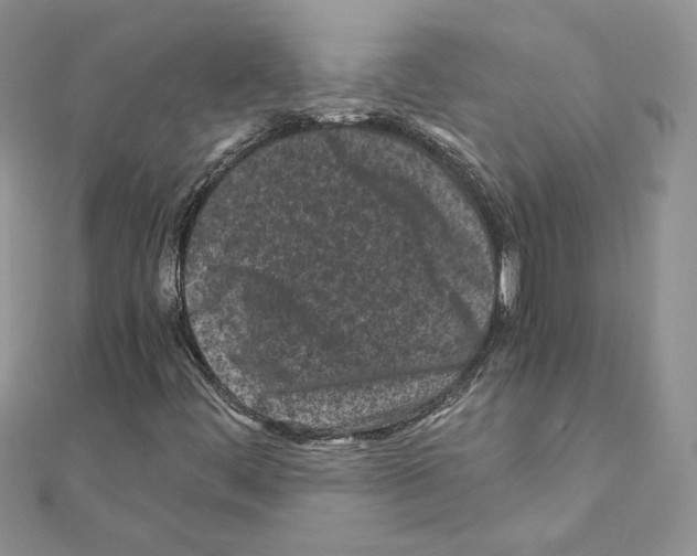 X0000111011444200907311042