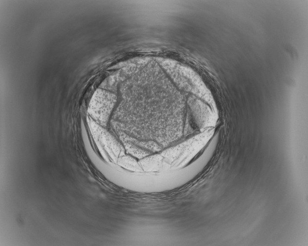 X0000111011445200907311042