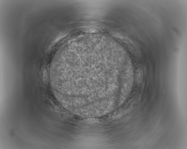 X0000111011446200907311042