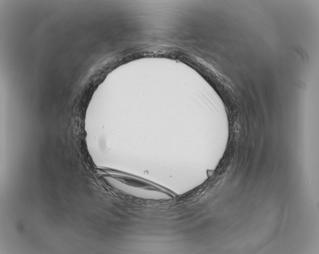 X0000111011447200907311042