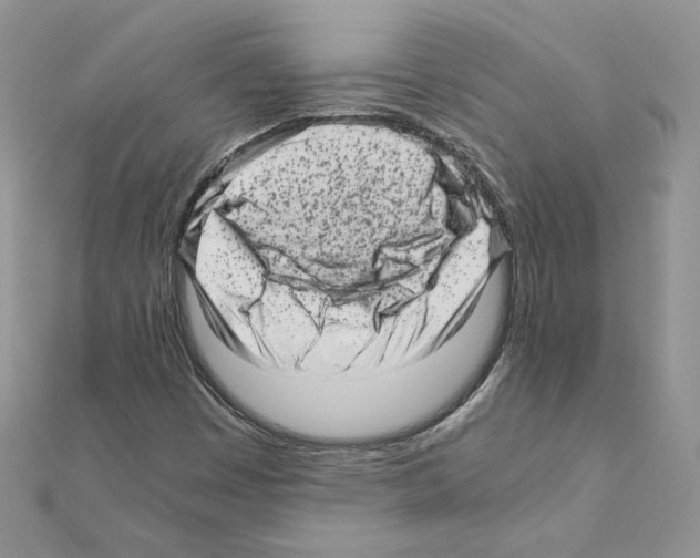 X0000111011449200907311042