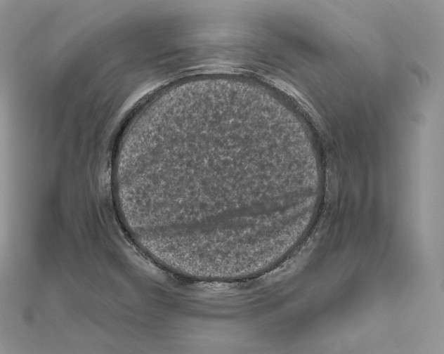 X0000111011450200907311042
