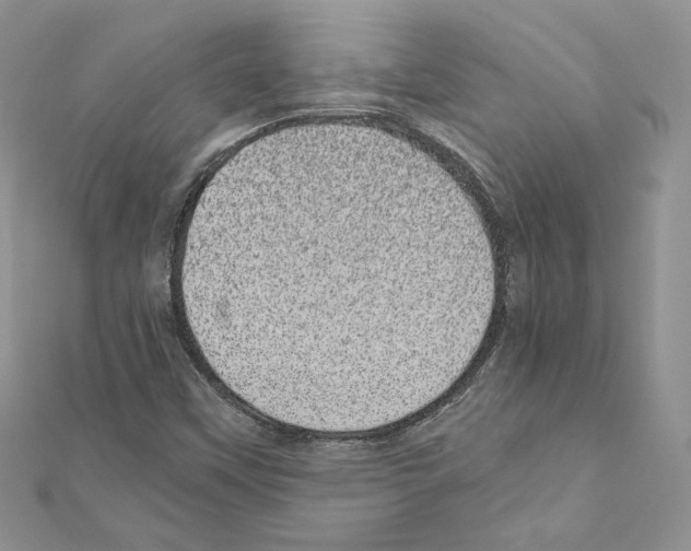 X0000111011451200907311042