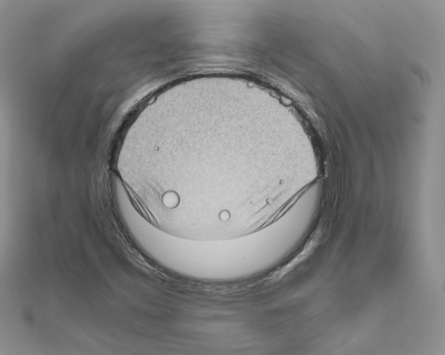 X0000111011453200907311042