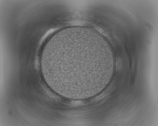 X0000111011454200907311042
